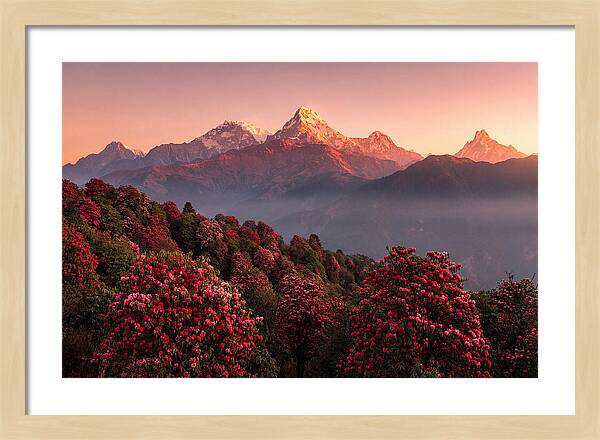 Annapurna Massif At Sunrise