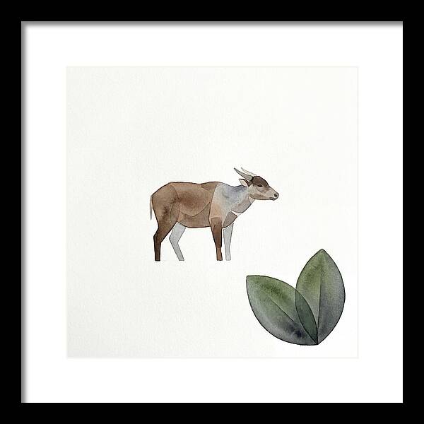 Anoa In Minimalist Style