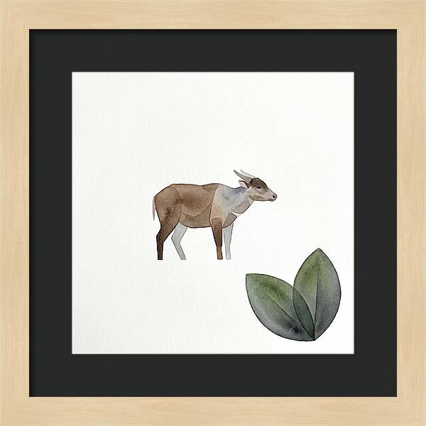 Anoa In Minimalist Style