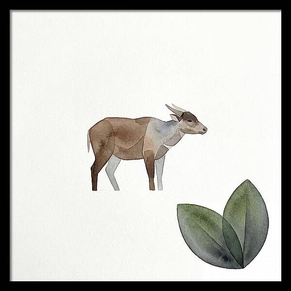 Anoa In Minimalist Style