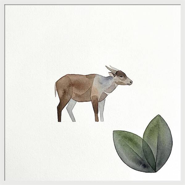 Anoa In Minimalist Style