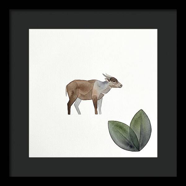 Anoa In Minimalist Style