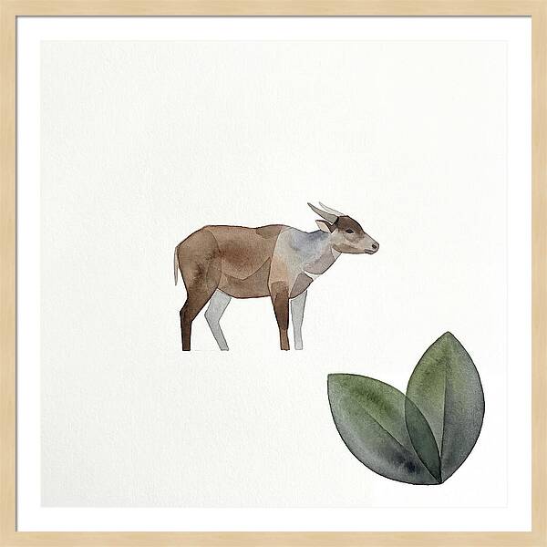 Anoa In Minimalist Style