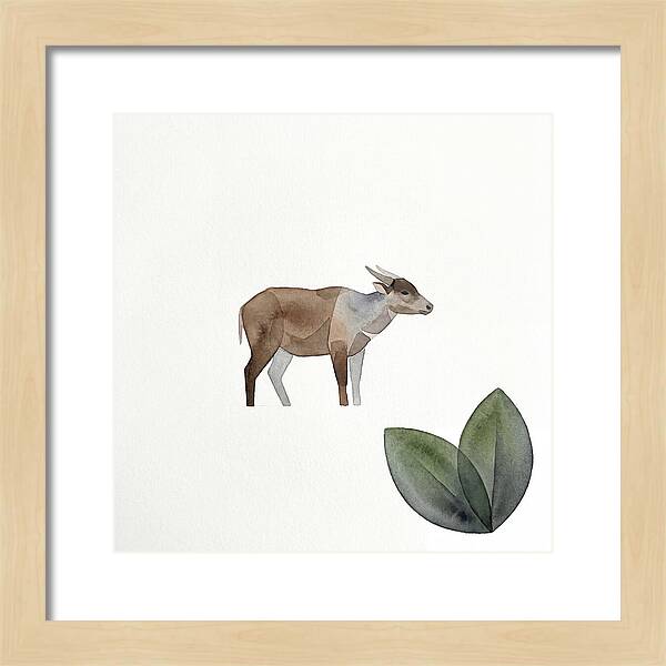 Anoa In Minimalist Style