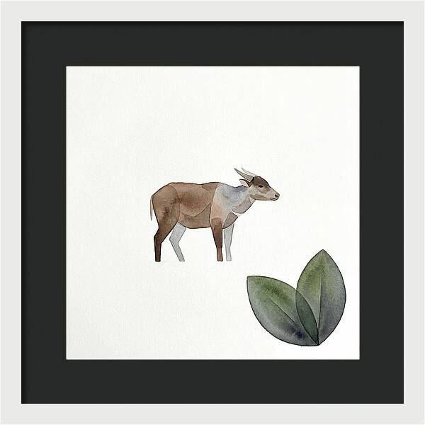 Anoa In Minimalist Style