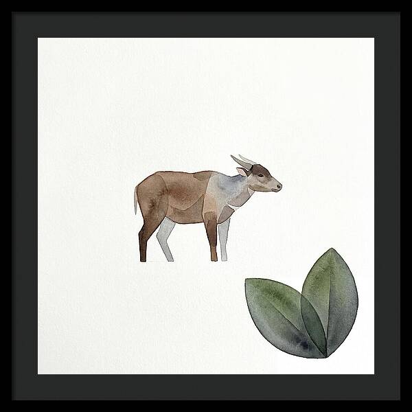 Anoa In Minimalist Style