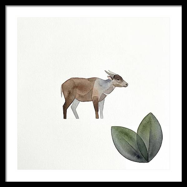 Anoa In Minimalist Style