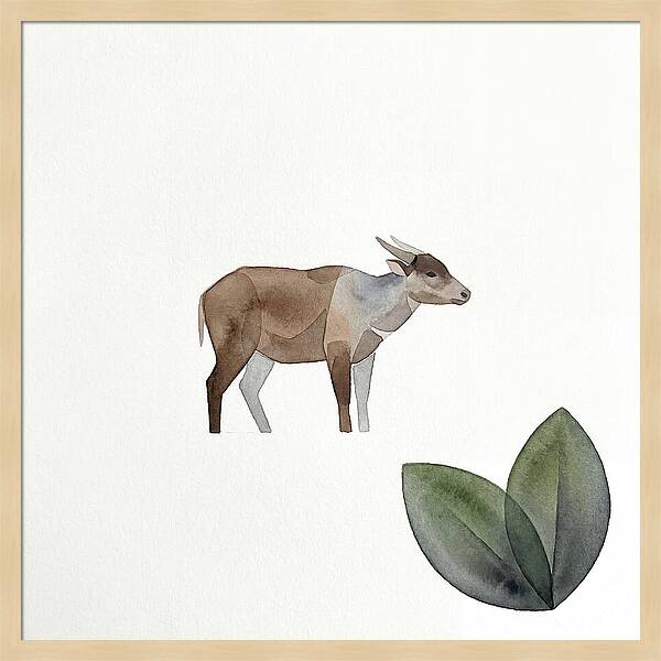 Anoa In Minimalist Style