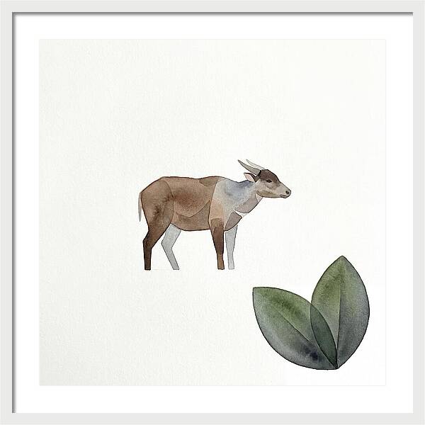 Anoa In Minimalist Style