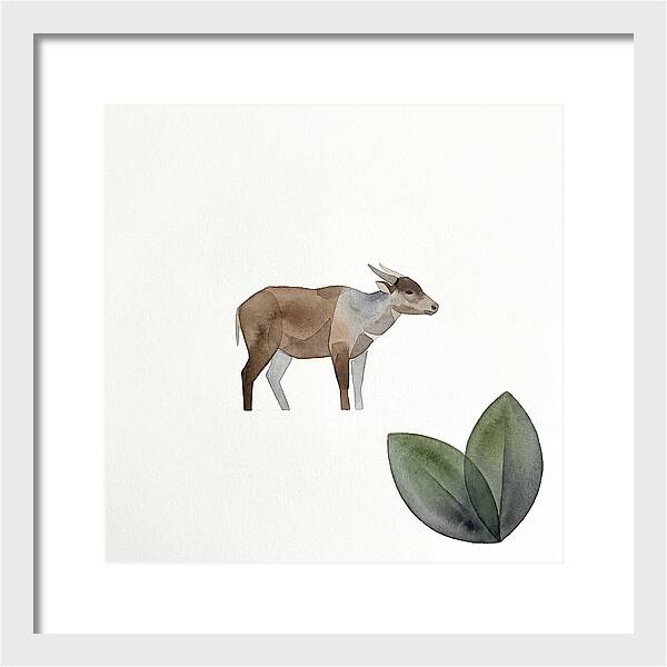 Anoa In Minimalist Style