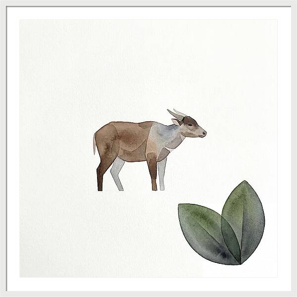 Anoa In Minimalist Style