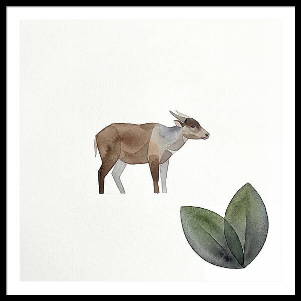 Anoa In Minimalist Style