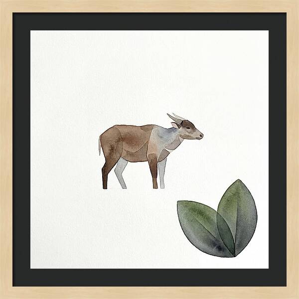 Anoa In Minimalist Style