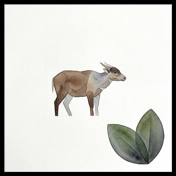 Anoa In Minimalist Style
