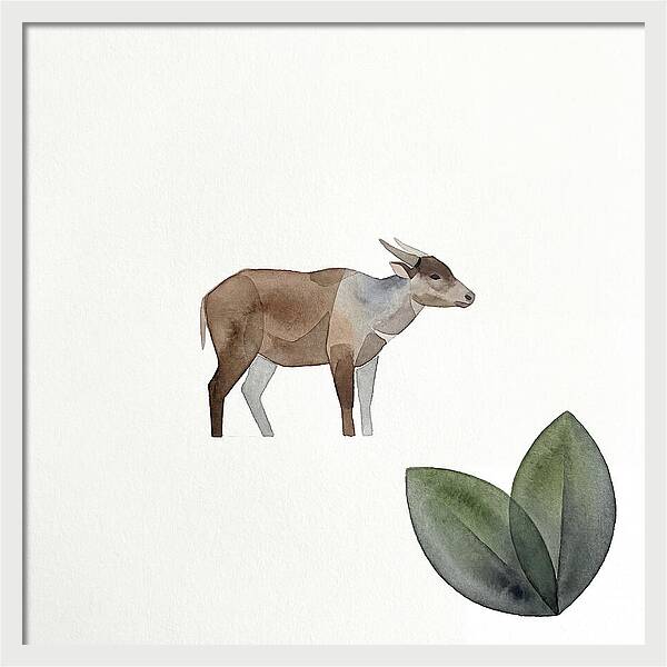 Anoa In Minimalist Style