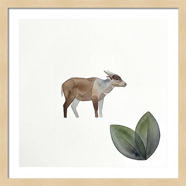 Anoa In Minimalist Style