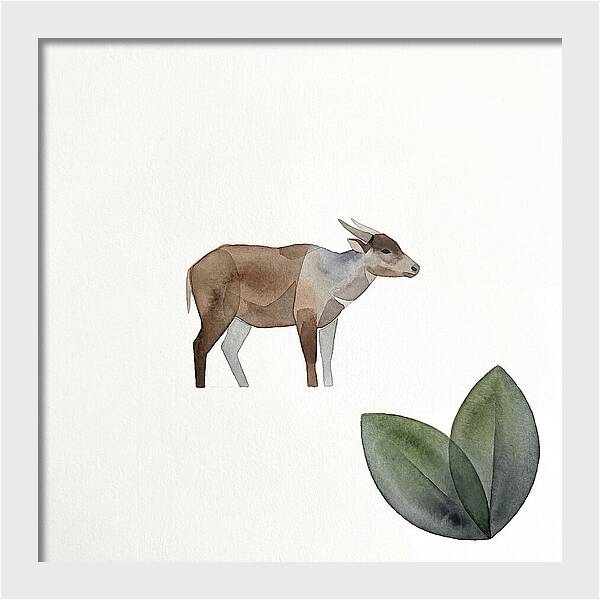 Anoa In Minimalist Style