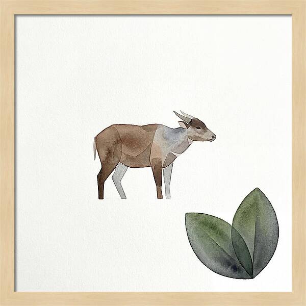 Anoa In Minimalist Style
