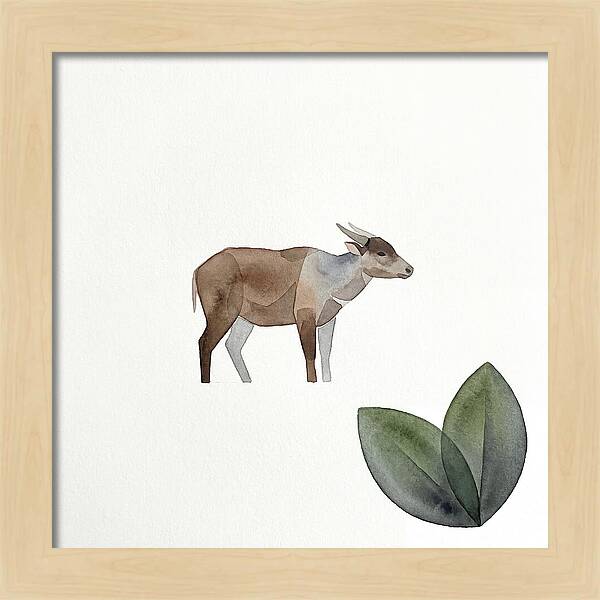 Anoa In Minimalist Style