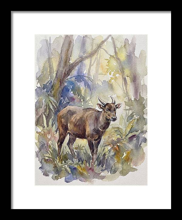 Anoa In The Forest
