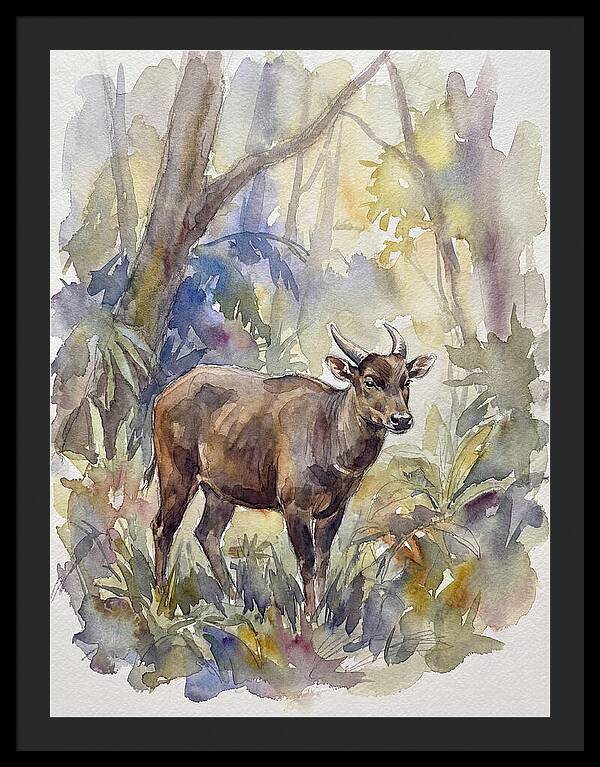Anoa In The Forest