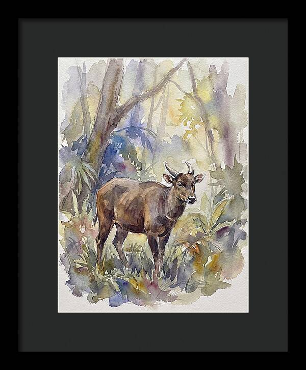 Anoa In The Forest