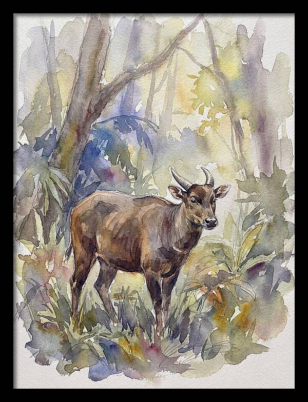Anoa In The Forest