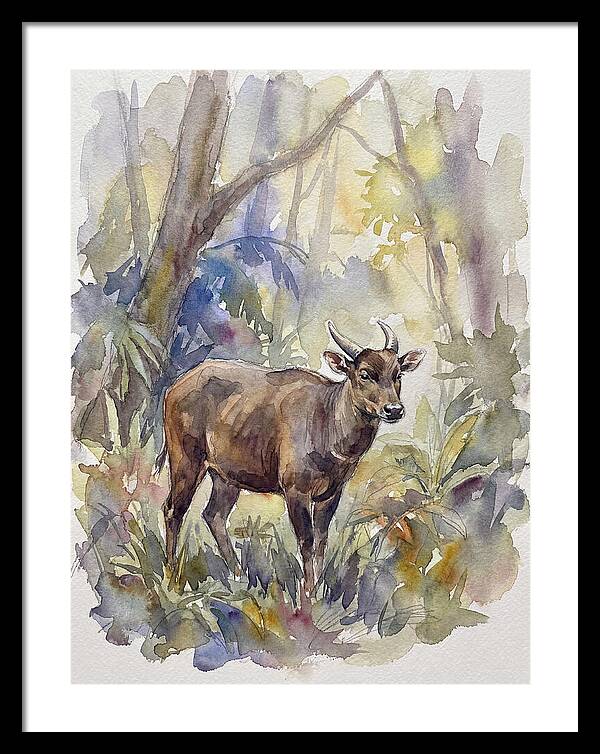 Anoa In The Forest
