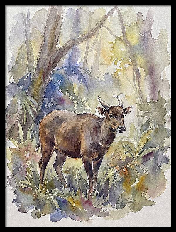 Anoa In The Forest