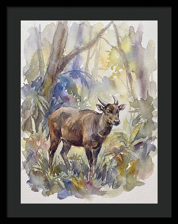 Anoa In The Forest