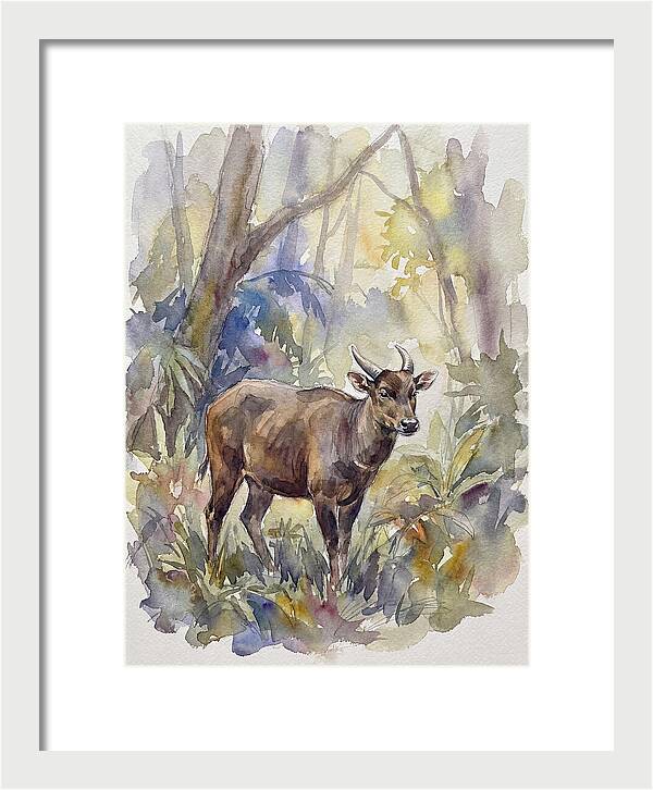 Anoa In The Forest