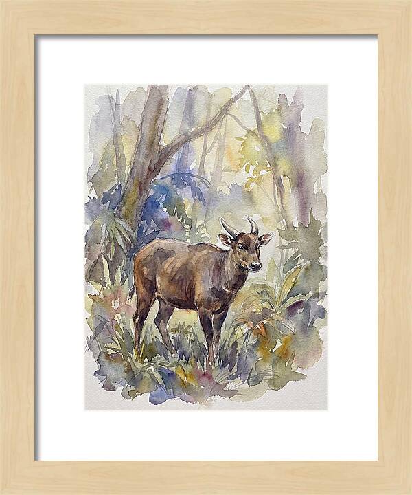 Anoa In The Forest