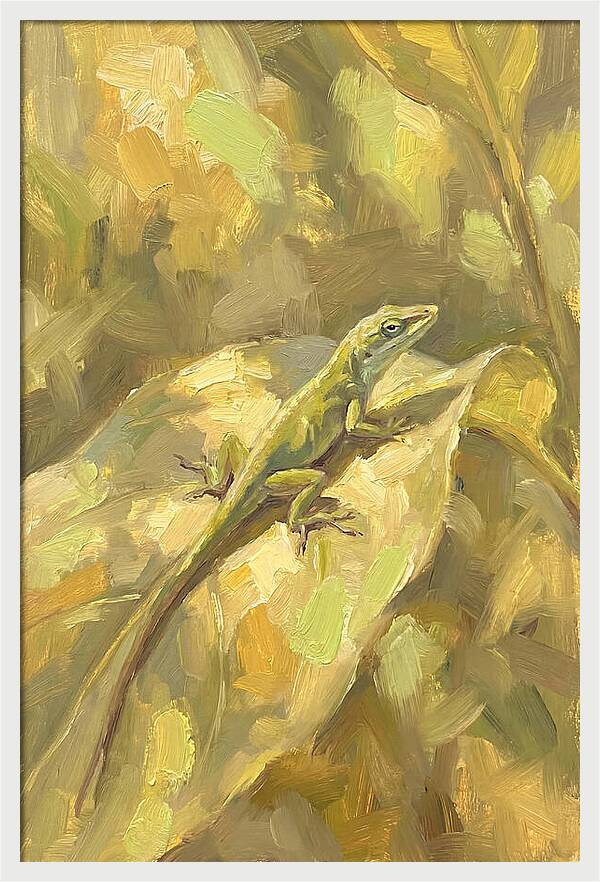 Anole Lizard On Leaf