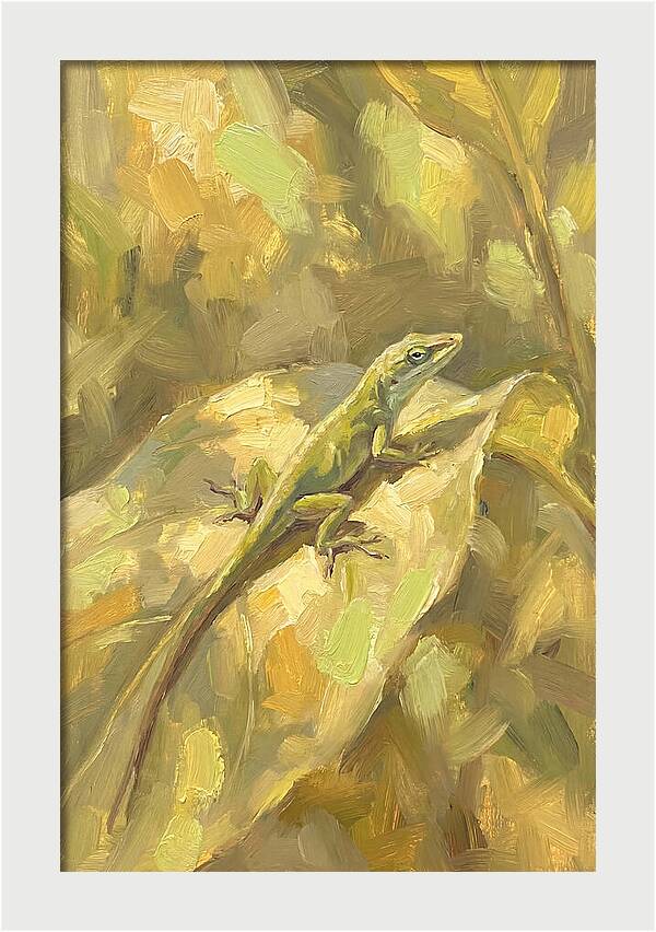 Anole Lizard On Leaf