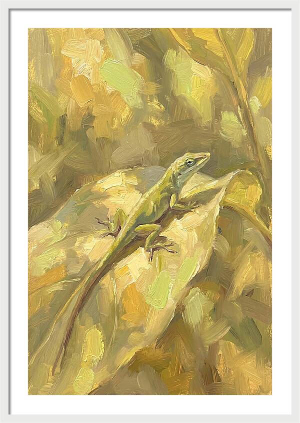 Anole Lizard On Leaf