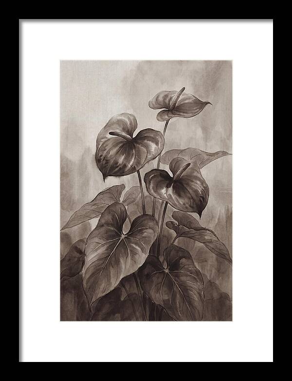 Anthurium Elegance