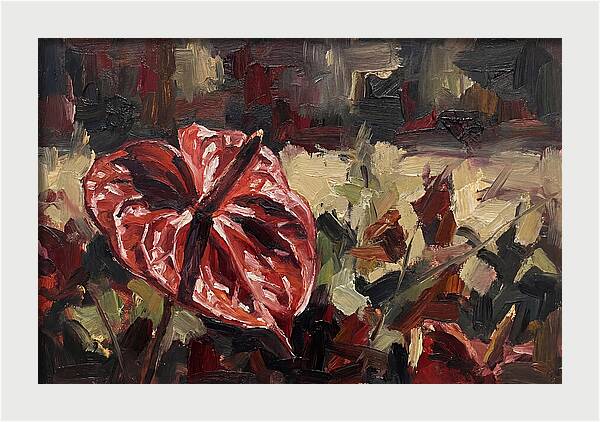 Anthurium In Vibrant Red
