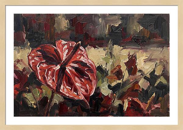 Anthurium In Vibrant Red