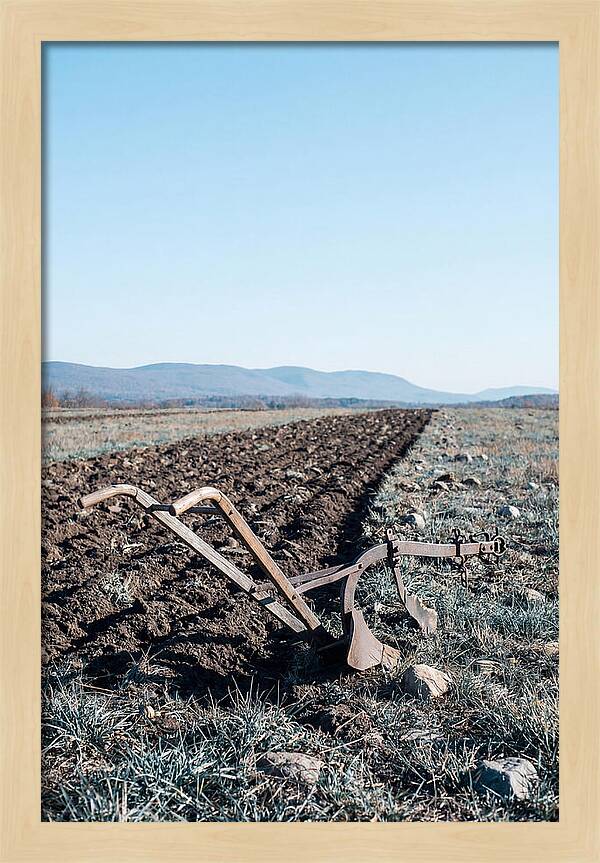 Antique Plow In Freshly Turned Earth