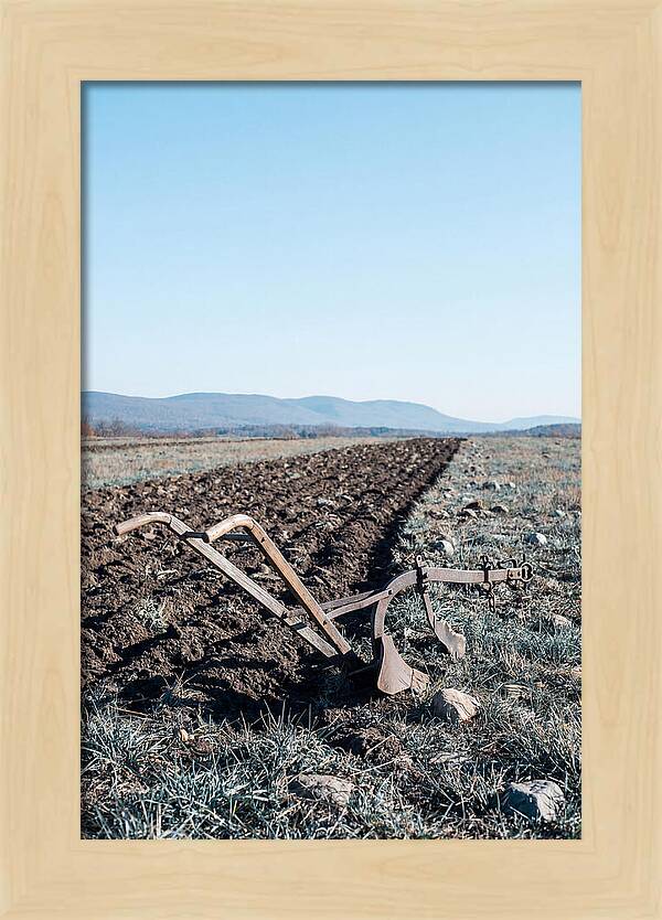 Antique Plow In Freshly Turned Earth