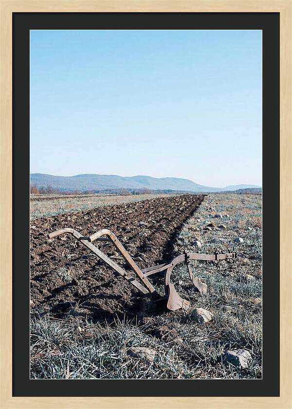Antique Plow In Freshly Turned Earth