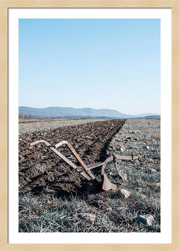 Antique Plow In Freshly Turned Earth