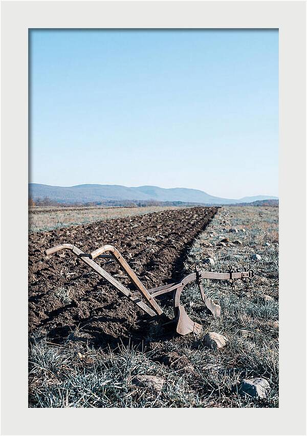 Antique Plow In Freshly Turned Earth