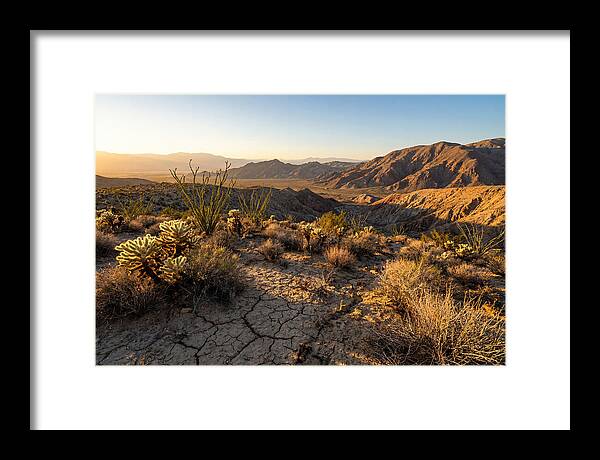 Anza Borrego Desert Serenity