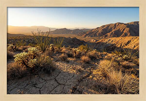 Anza Borrego Desert Serenity