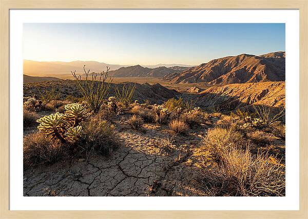 Anza Borrego Desert Serenity