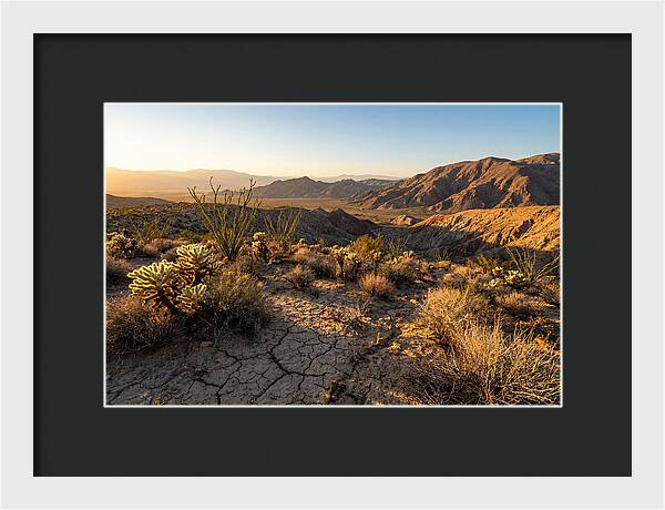 Anza Borrego Desert Serenity