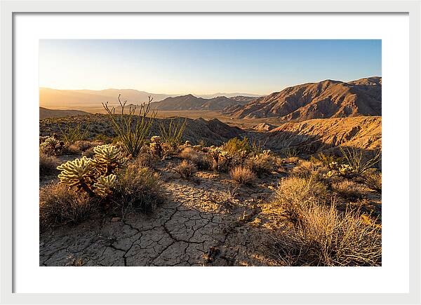 Anza Borrego Desert Serenity