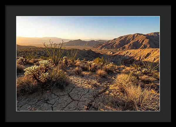 Anza Borrego Desert Serenity