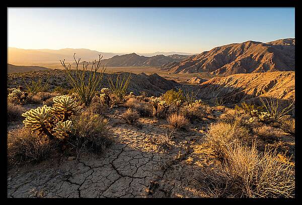 Anza Borrego Desert Serenity
